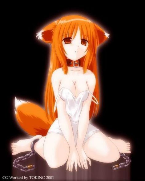 anime-fox-girl.jpg